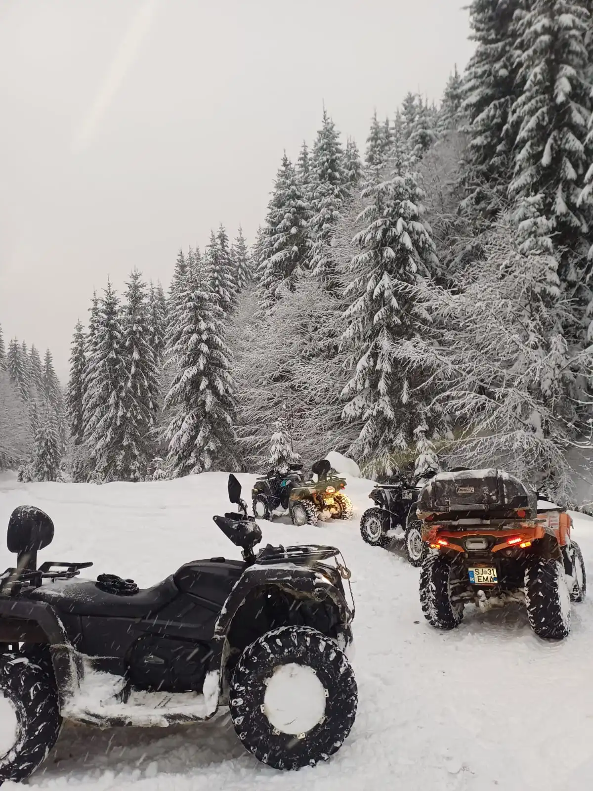 ATV pe traseu montan în Borșa